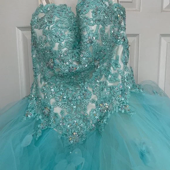 Morilee Vizcaya Quinceanera Corset Fairytale Dress Ball Gown 89174 *Note Cond - Picture 2 of 15